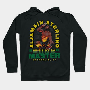 Aljamain Sterling Fun Master Hoodie